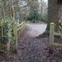 Arrandene Open Space