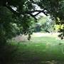 Edgwarebury Park
