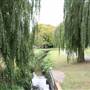 Oak Hill Park