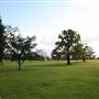 Sunny Hill Park