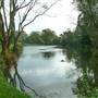 Totteridge Ponds