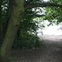 Welsh Harp Open Space