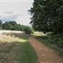 Welsh Harp Open Space