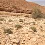 Edge of the World - حافة العالم