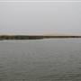 Asfar Lake - بحيرة الأصفر - الأحساء