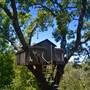 Treetops Novato