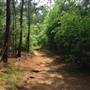 Tribble Mill Park