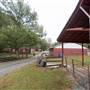 Horse Farm - Dacula