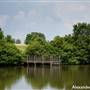 Alexander Park