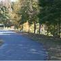 Pinckneyville Park