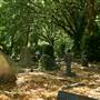 West Norwood Cemetery