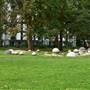 St Mary's Churchyard