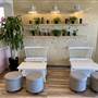 Bubble Tea Shop/ Cafe