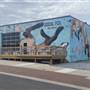 Social Fox Brewery