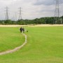Lee Valley Showground