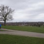 Ashburton Park