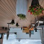 Groovy Lounge and Stylish Deck