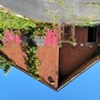 Spray Painted & Abandoned