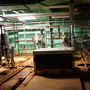 Plant Takeover at Abandoned Plant  - Bell Works