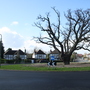 Friar Road