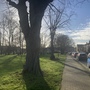 Alexandra recreation ground