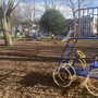 Alexandra Recreation Ground - Playground