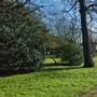Crease Park