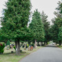 Borough Cemetery