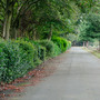 Borough Cemetery
