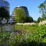 Potters Fields Park