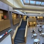 Kingston University - Kingston Hill
