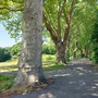 Martins Hill Open Space