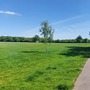 Norman Park