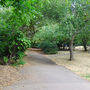 Thornhill Square