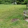 Cherry Orchard & Walled Garden (Chiswick House & Gardens)