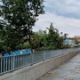 Fish Island Village