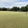 Hurlingham Pavilion