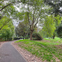 Downhills Park