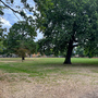 Bruce Castle Park