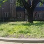 St Paul's Green