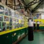 East London Boxing Ring