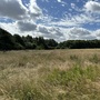 Waterworks Nature Reserve