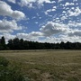 Waterworks Nature Reserve