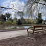 Raphael Park