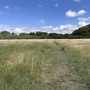 Britannia Meadows