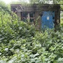 Abandoned Buildings - Former Essex Mill & Factory Site