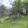 Abandoned Buildings - Former Essex Mill & Factory Site