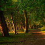 Dagnam Park