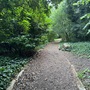 Strawberry Hill House - The Wilderness Woodland Walk 