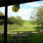 Sunflowers Barn